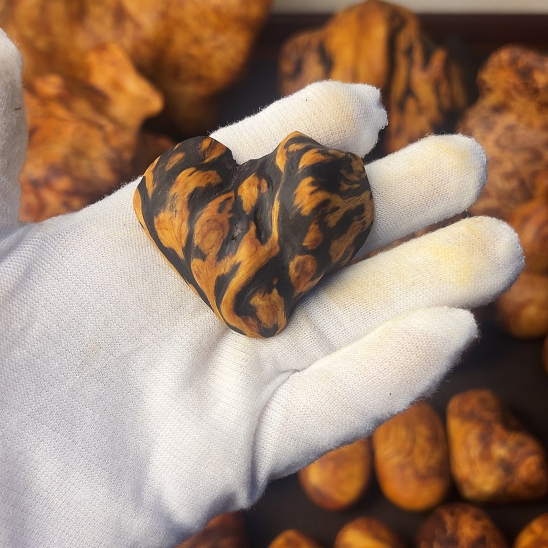 难***涂琥珀木长白山琥珀木