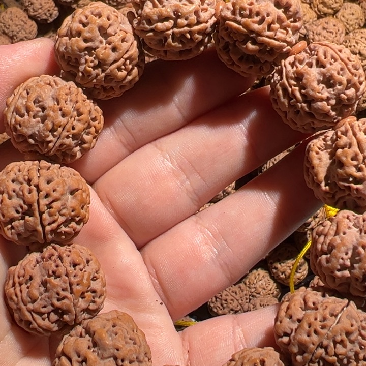 吊坠金刚菩提41号金刚