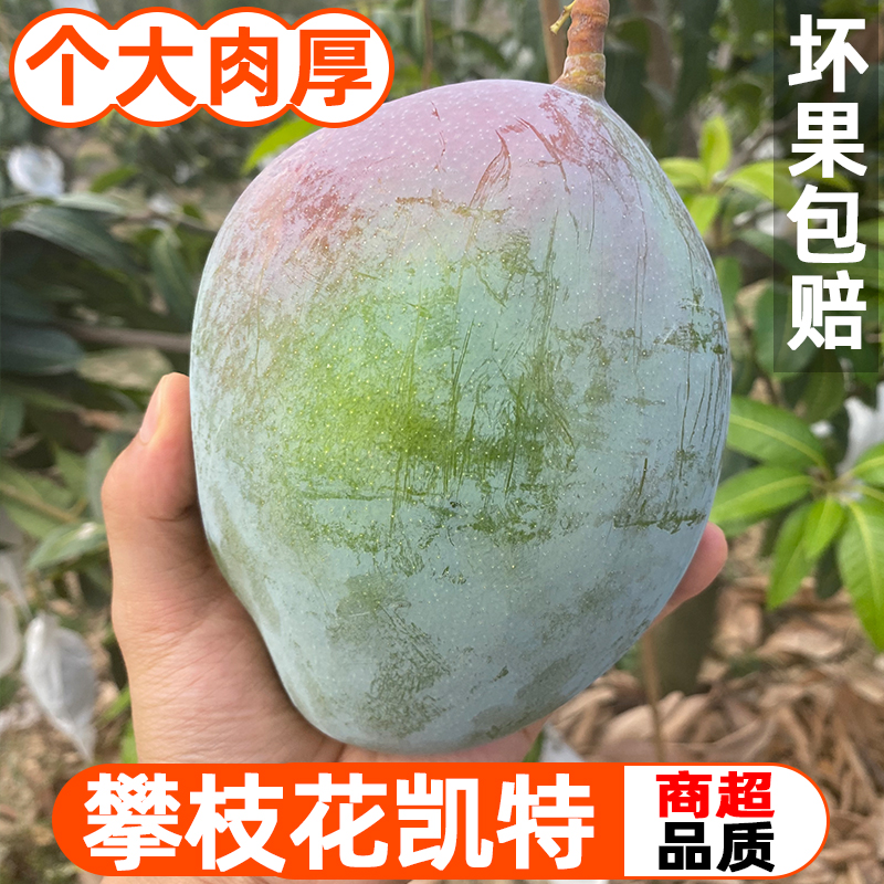 z四川攀枝花凯特芒果整箱当季新鲜水果现摘精选大青芒爆汁脆甜