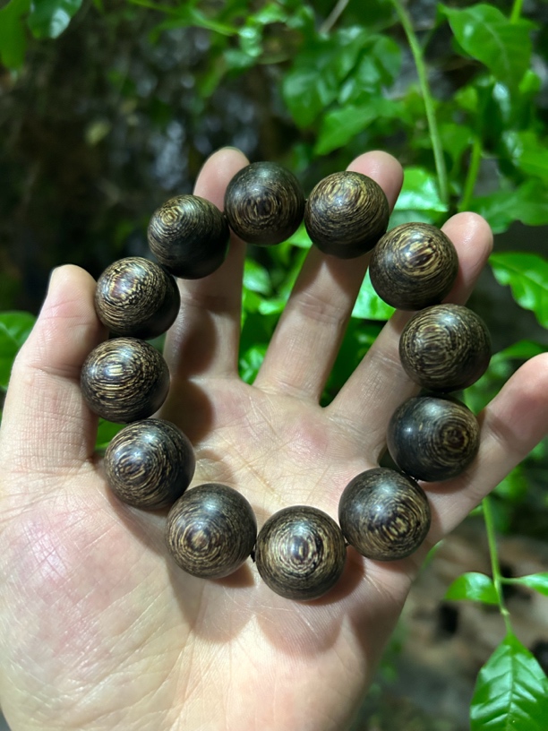 【土特产菇15】净含量55g