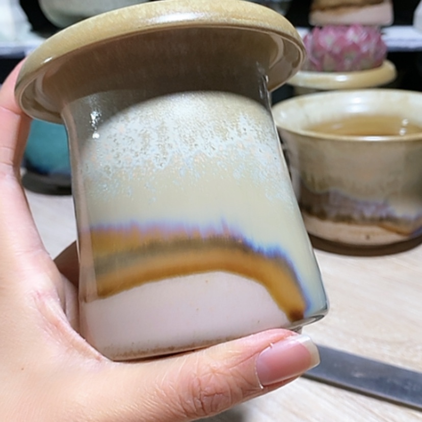 【闪购商品】红陶口7