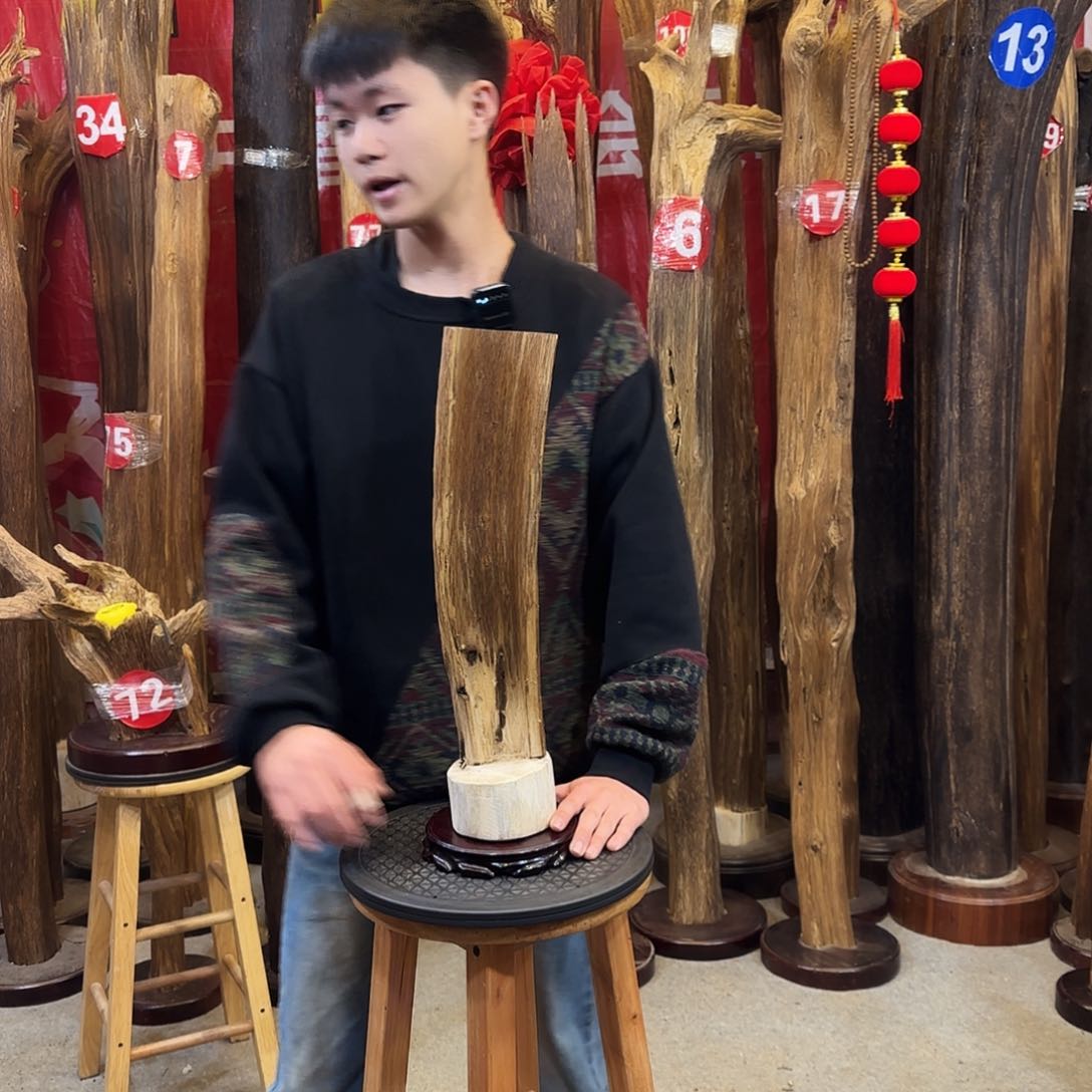 沉香摆件海南沉香