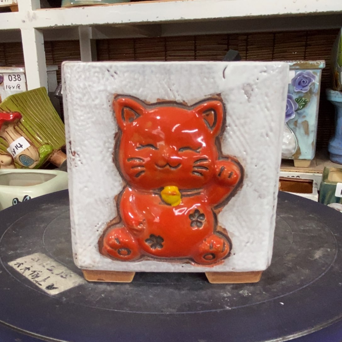【闪购商品】      