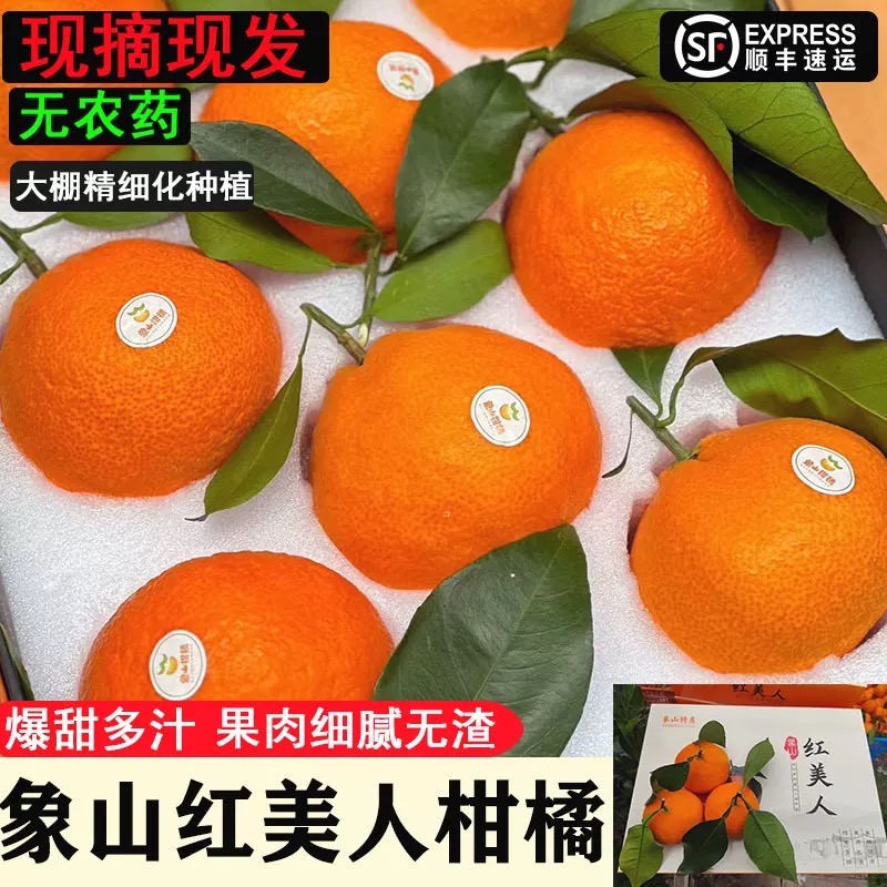 宁波象山红美人柑橘礼盒带箱5斤装宁波红美人橘子蜜桔原产地新鲜采摘顺丰明日达橘子涌泉蜜桔甜度高浙江省