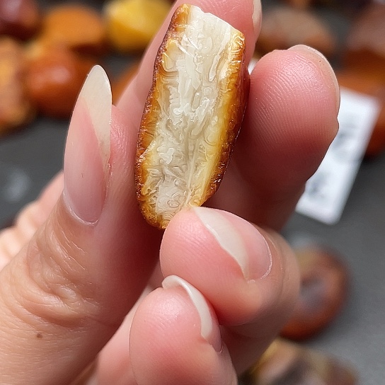 定制琥珀订制花蜡