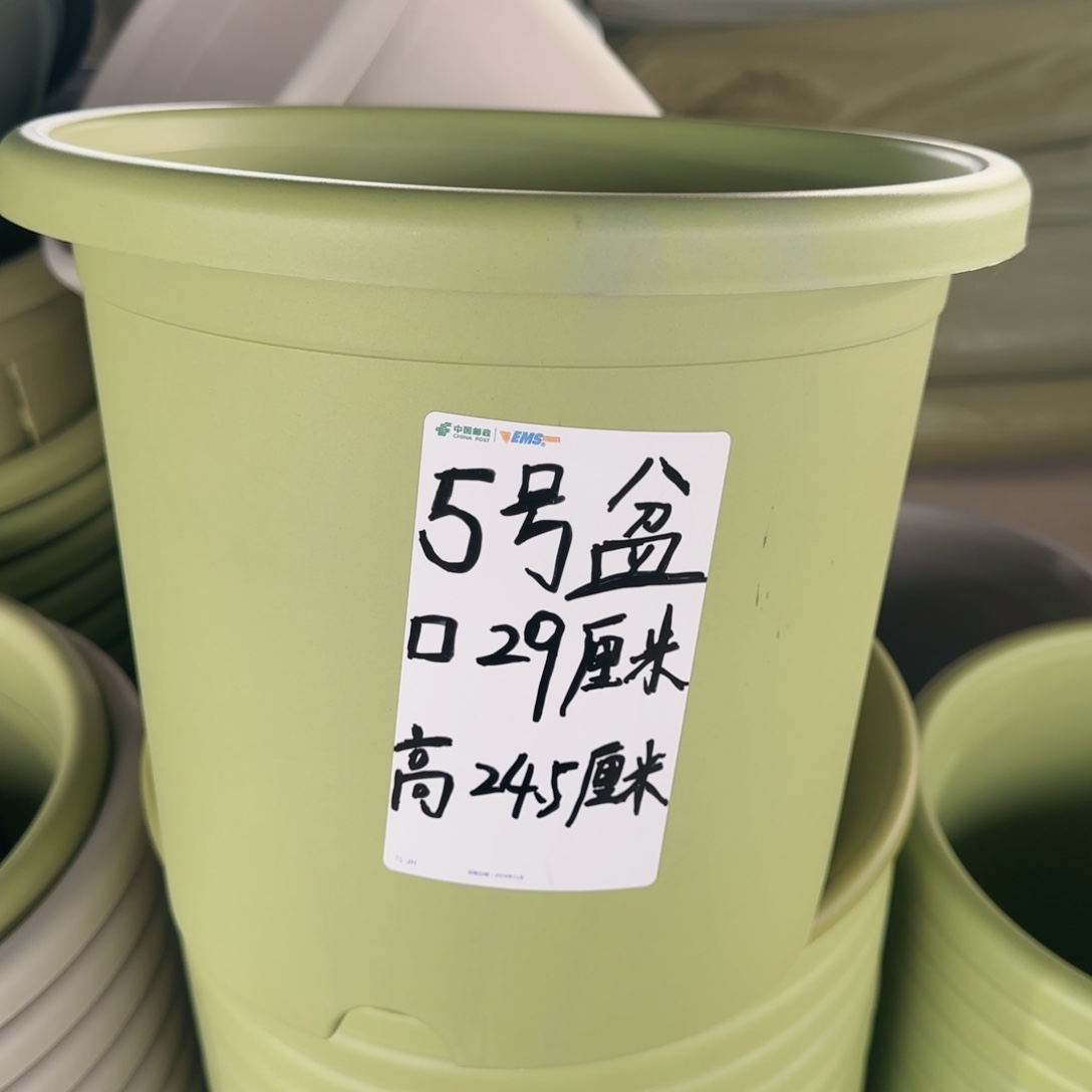 塑料四季5号10个无托，颜色看备注