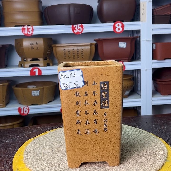 紫砂花盆你在一起