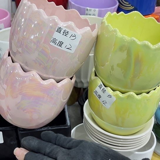 多年绿植陶瓷花盆9.9包邮，有孔