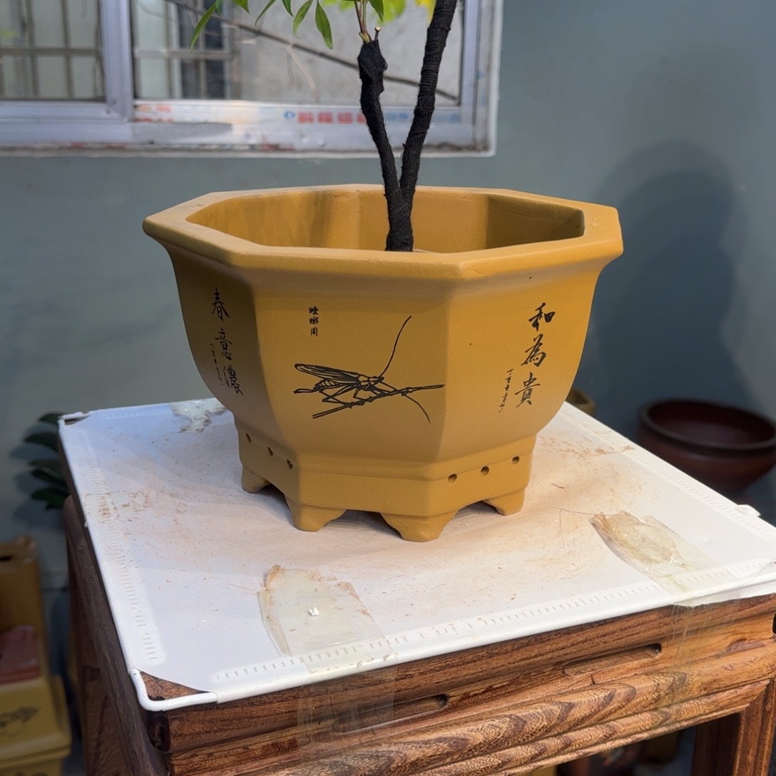 紫砂花盆紫砂口径27