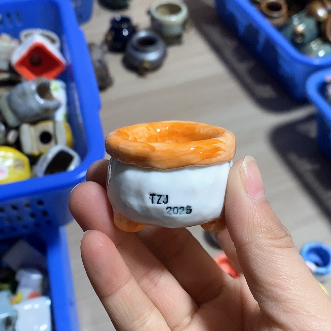 红陶拍5送一个小