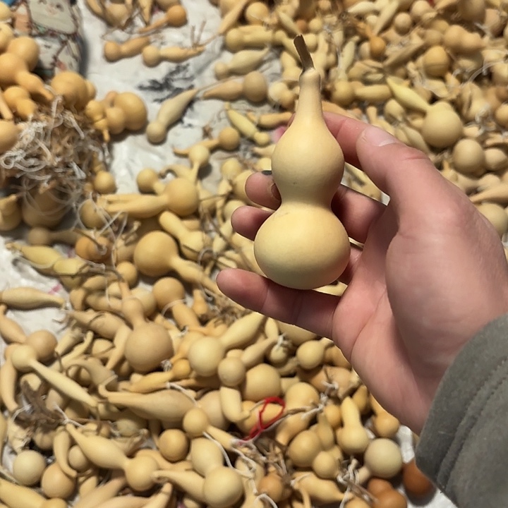 哥***有机玻璃天然本捻葫芦