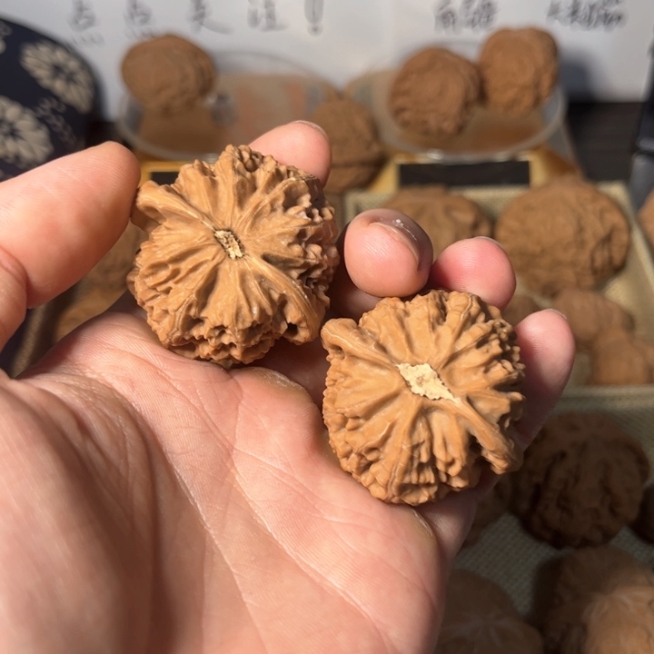 核桃宫灯……………………