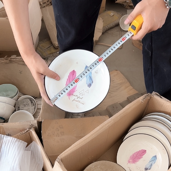 微瑕不退不换不补发 羽毛盘4支