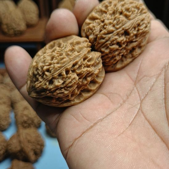 月***呀完全开放南疆石核桃