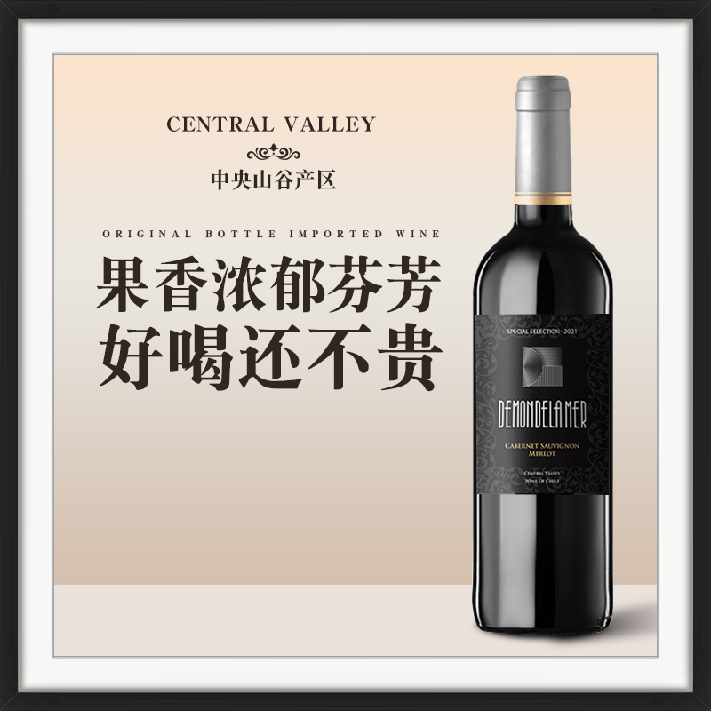 DEMON DE LA MER精选混酿红葡萄酒750mL/瓶 品牌原装原瓶进口