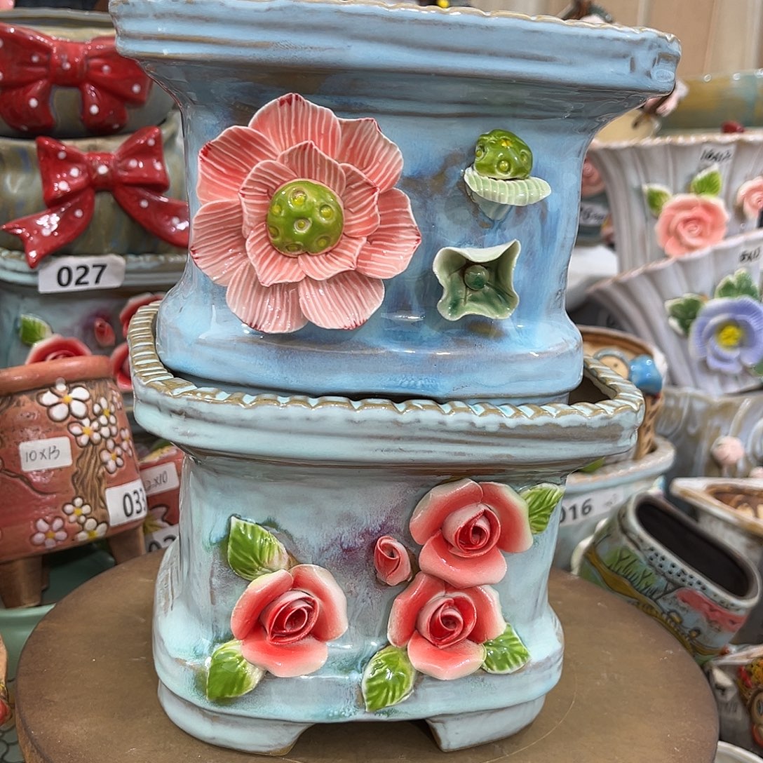 粗肉多肉花盆花盆