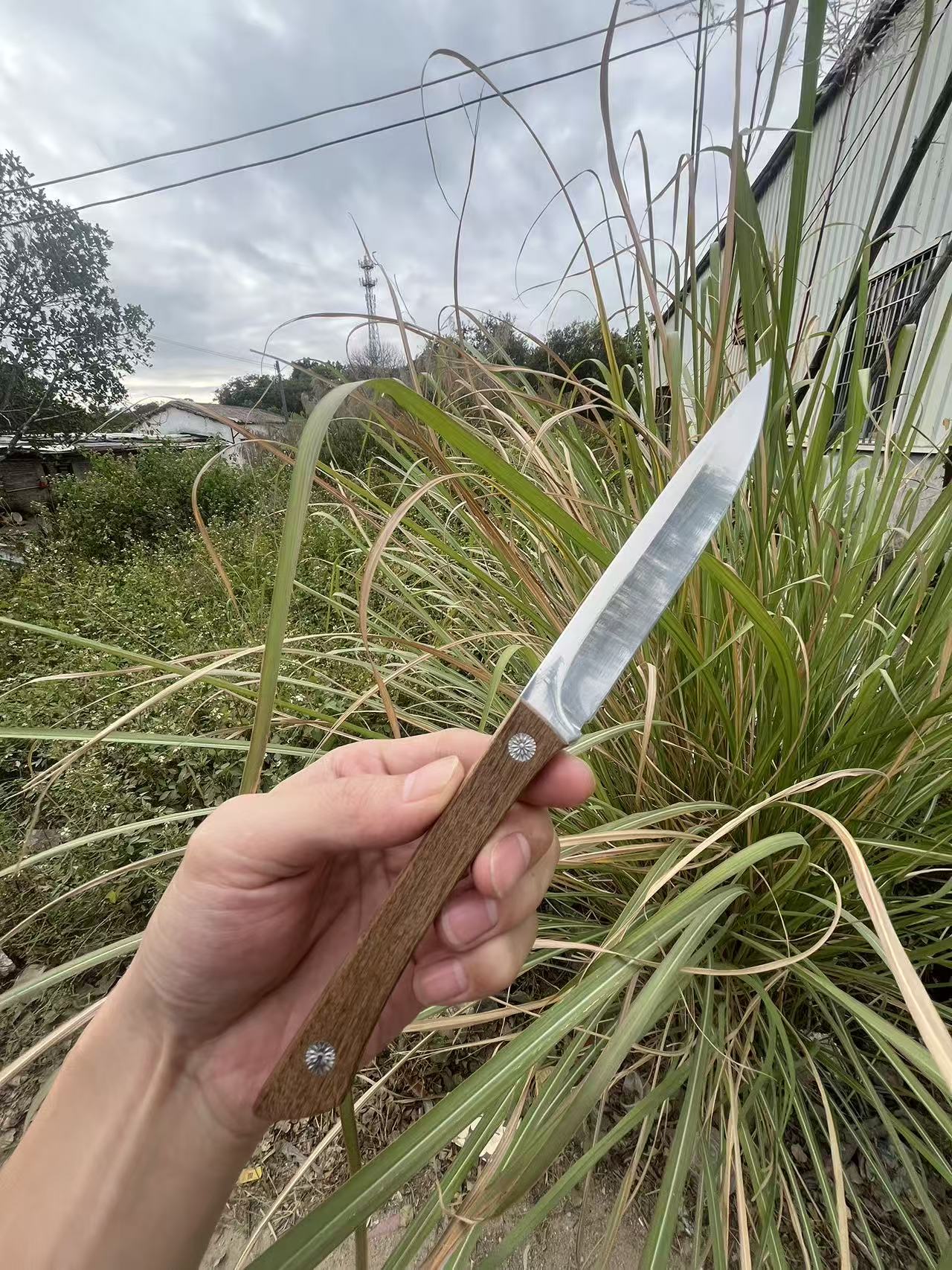 锋利厨房水果刀瓜果刀手工手工家用削皮切果切肉户外烧烤钓鱼