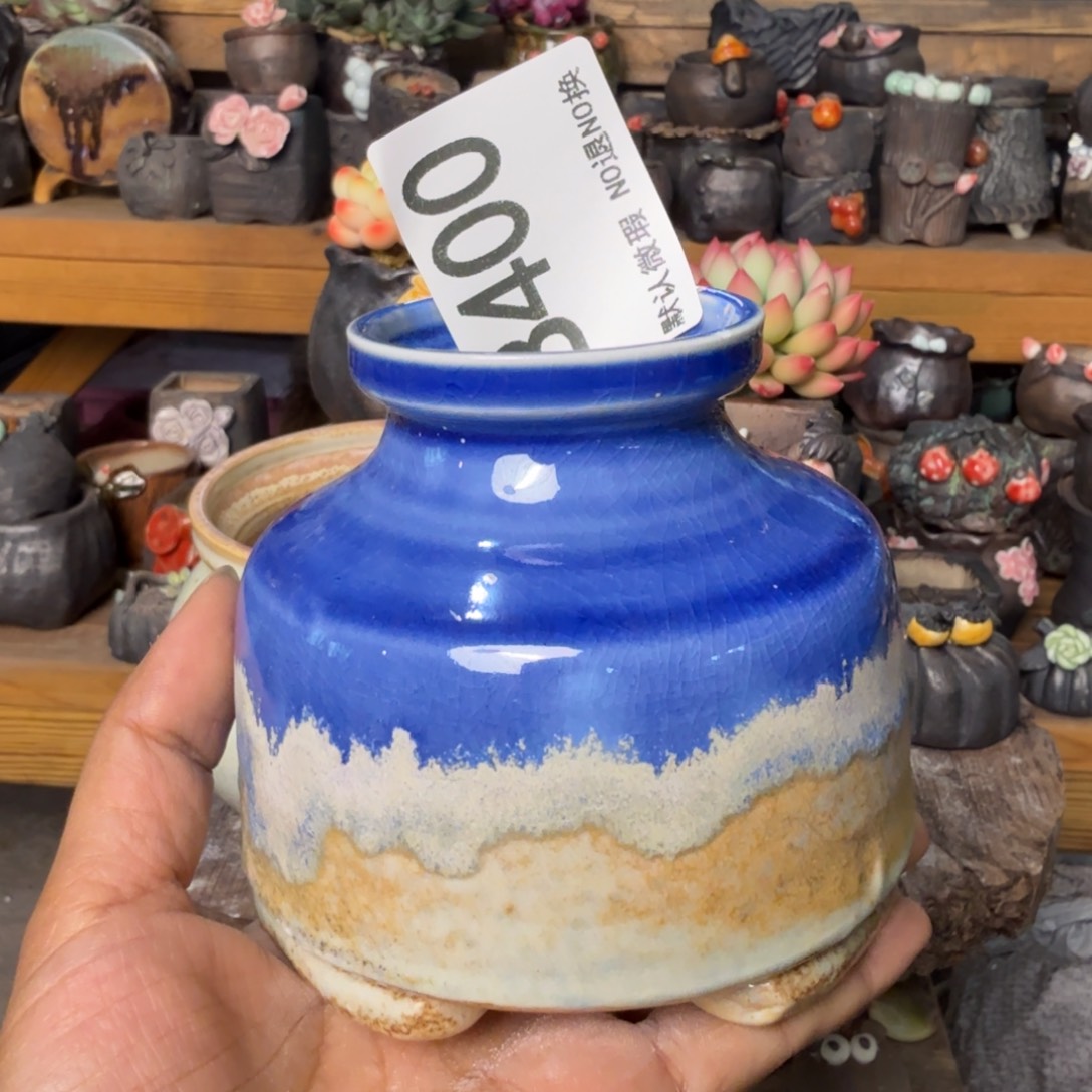 重庆小燕子欢迎大家400