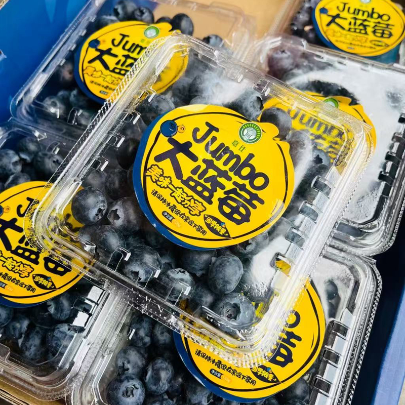嘉仕宝石蓝莓12mm果，125g/盒新鲜北京市