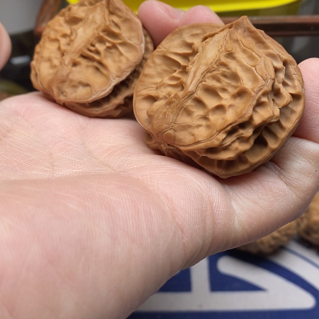 核桃把件九龙筋半壁江山