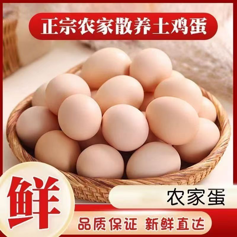 农家散养土鸡蛋10/20/30/40枚现捡现发营养早餐新鲜鸡蛋主播补贴N