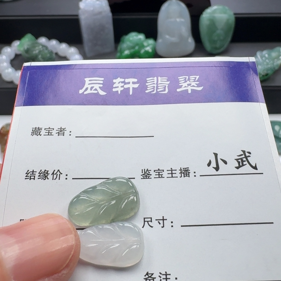 翡翠未镶嵌颈饰     9