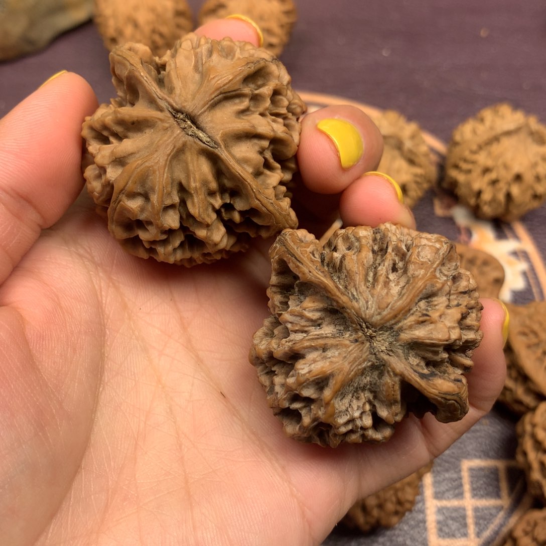 用****3秦岭山脉和黄土高原等秦岭