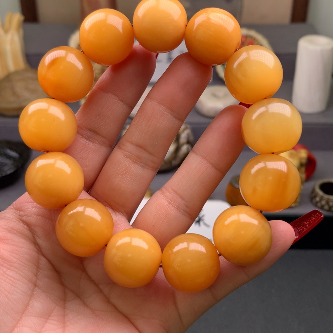 驼骨其他好看牛角