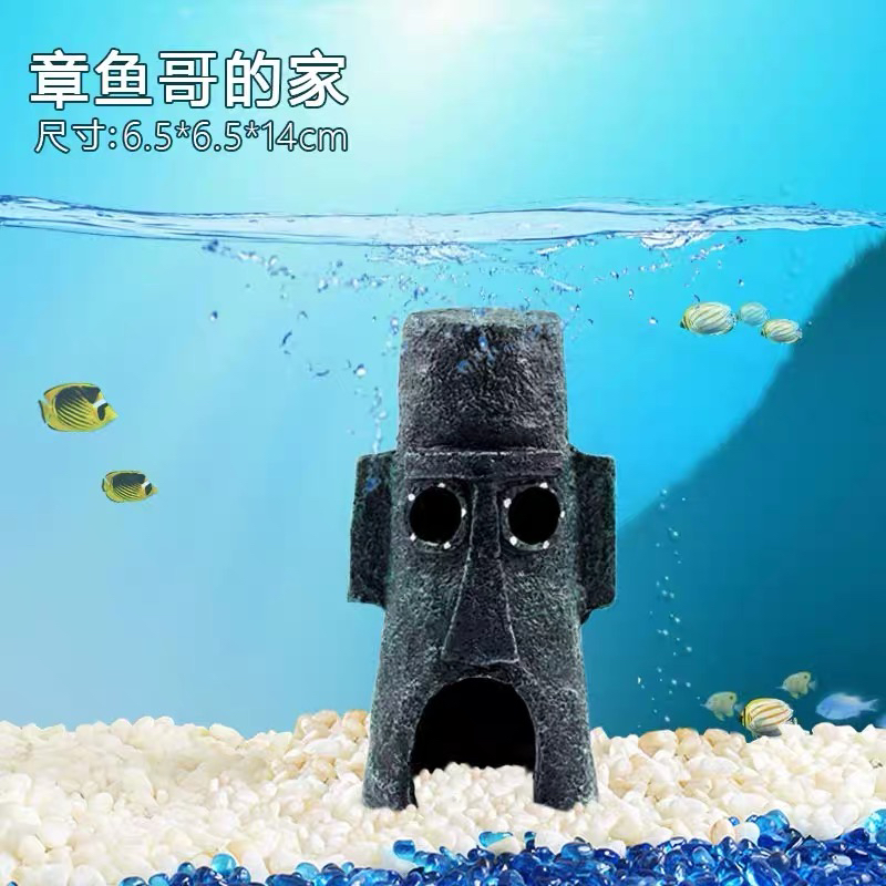 章鱼哥的房子  鱼缸造景