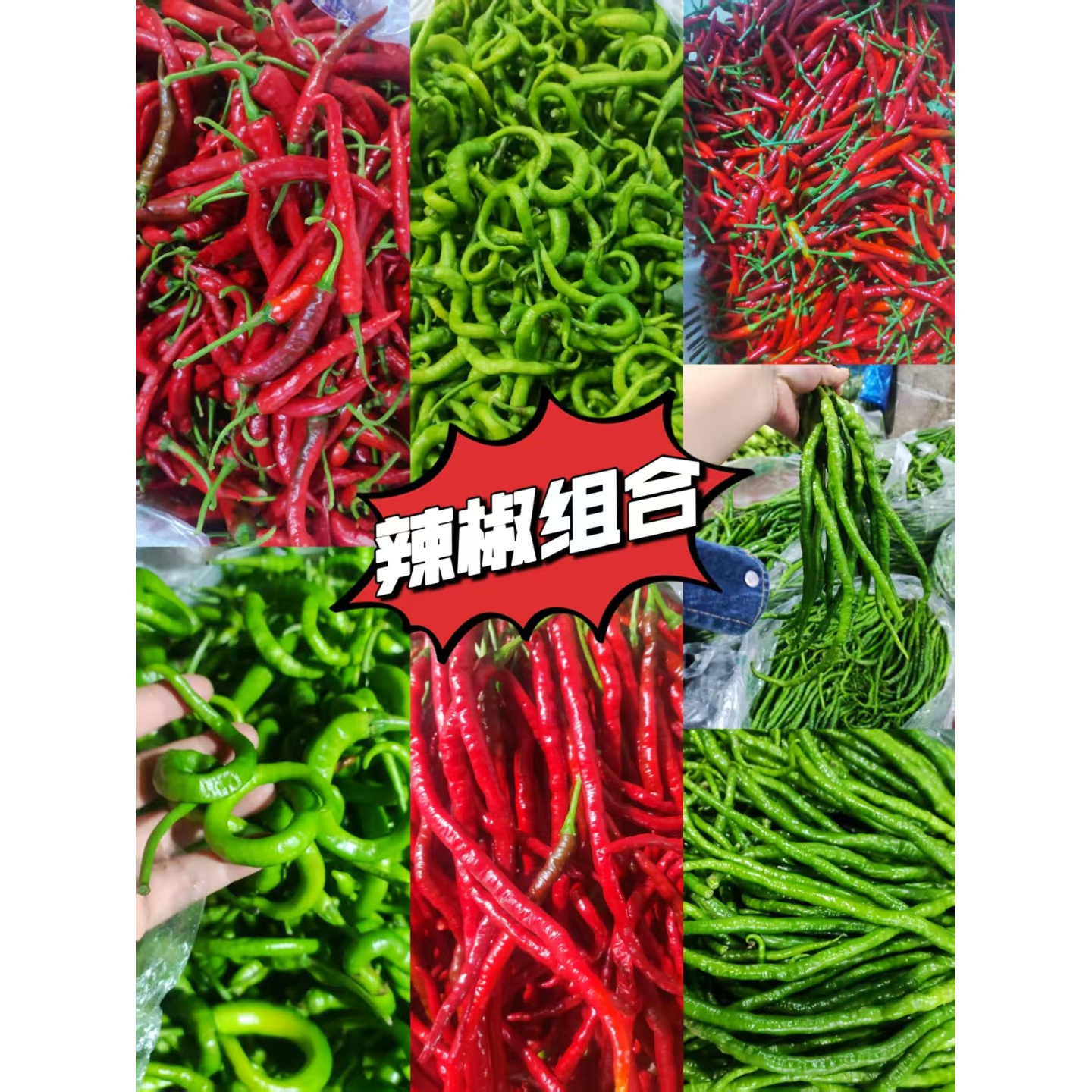 （顺丰包邮）贵州农家现摘细长鱼鳅辣椒鸡爪辣小米辣青红辣椒应季