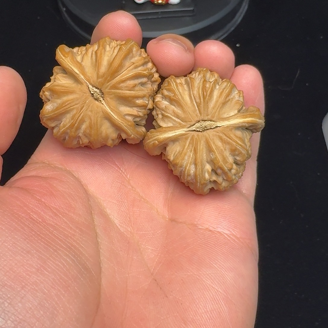 1***1吊坠文玩核桃白狮子