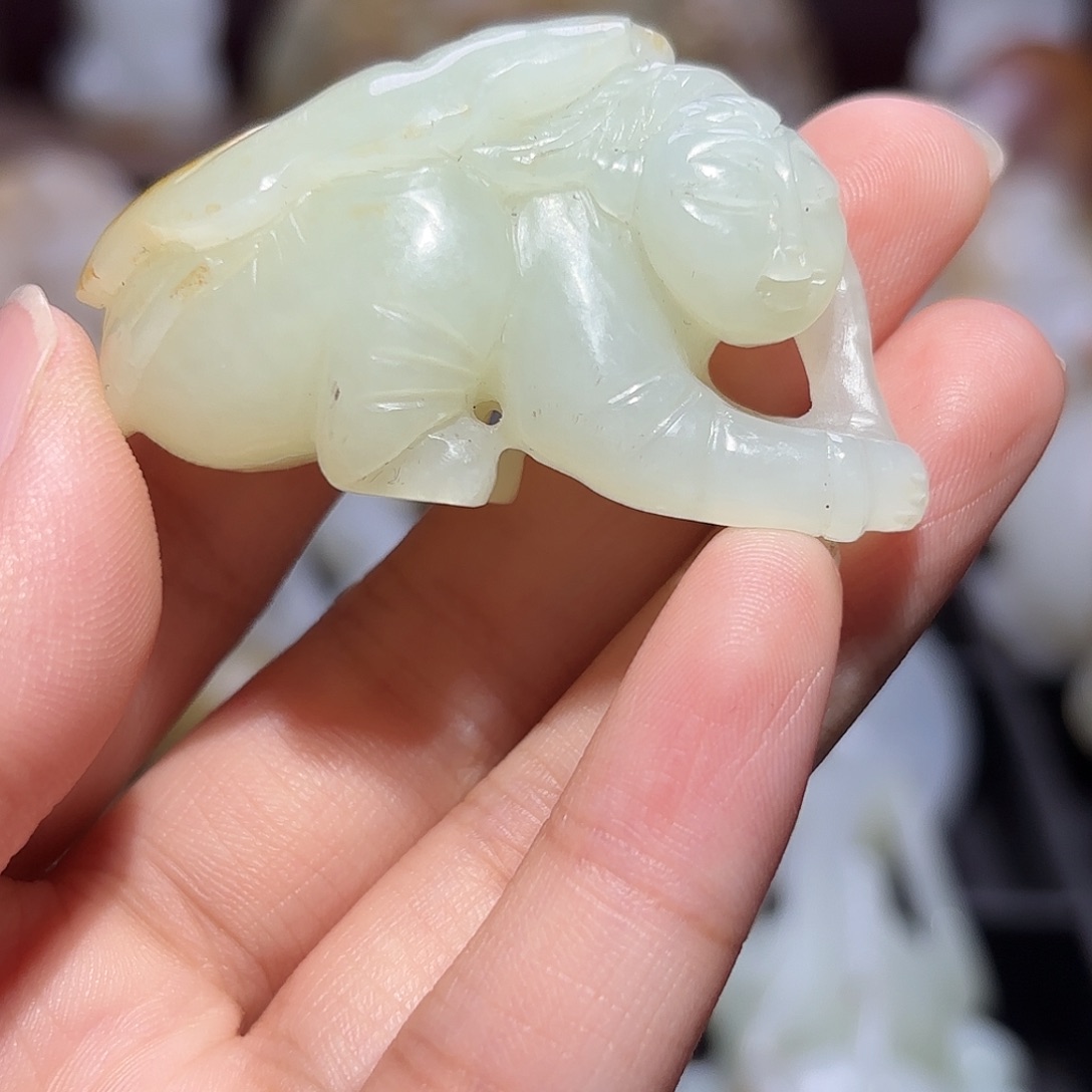 缸一物一图 所见所得