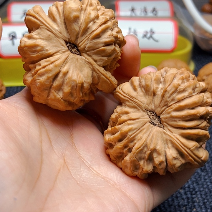 文玩核桃吊坠0*9龙鼎