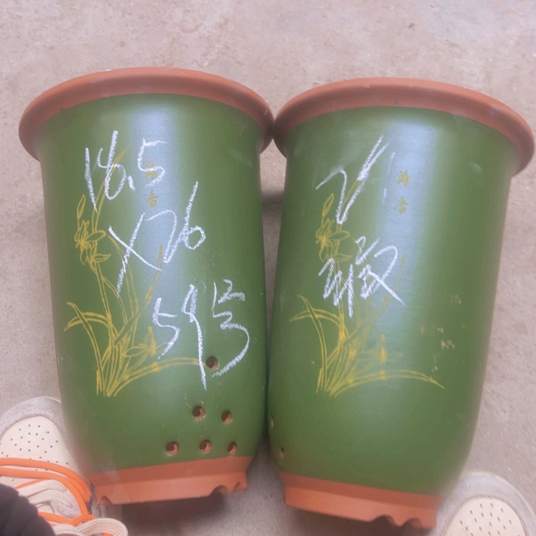 紫砂59……………………………………