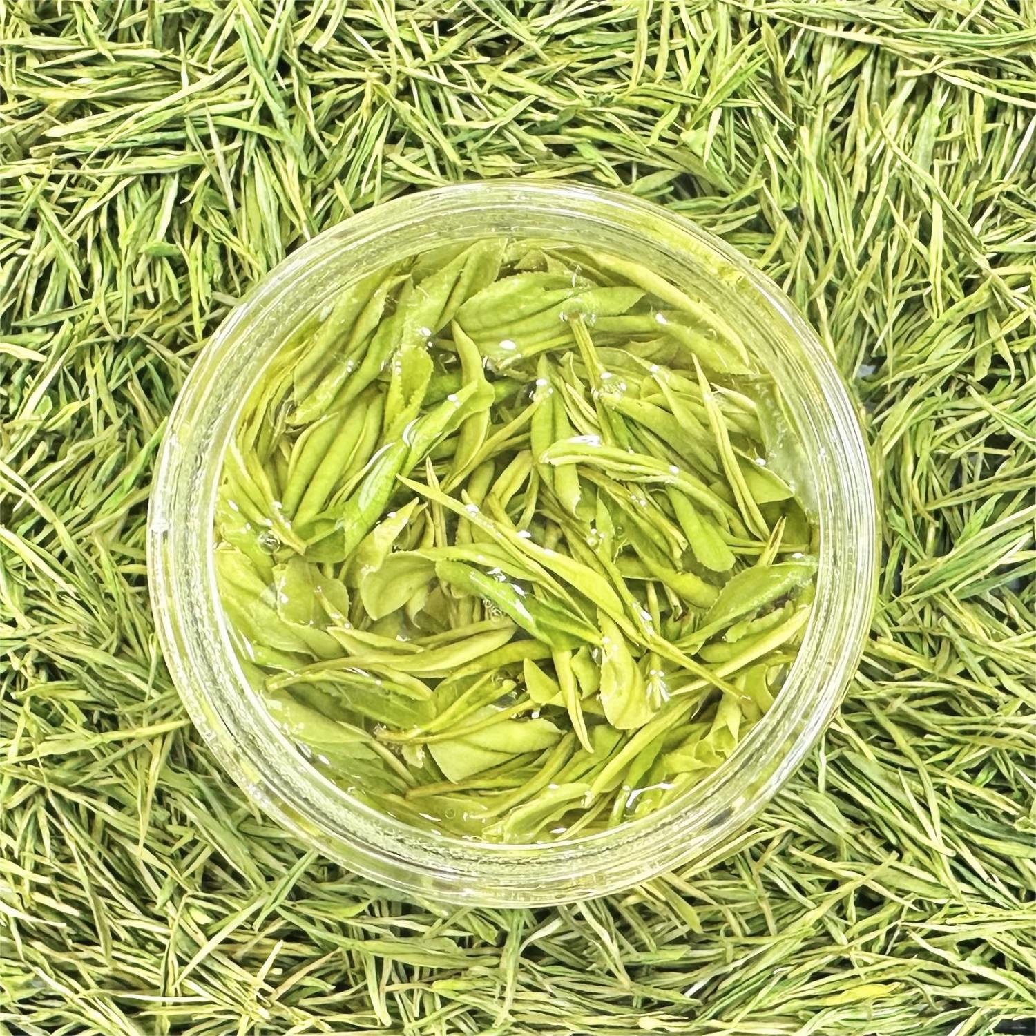 【特惠专享】A19  安吉原产地高山白茶 兰花香 浓香耐泡  高山茶