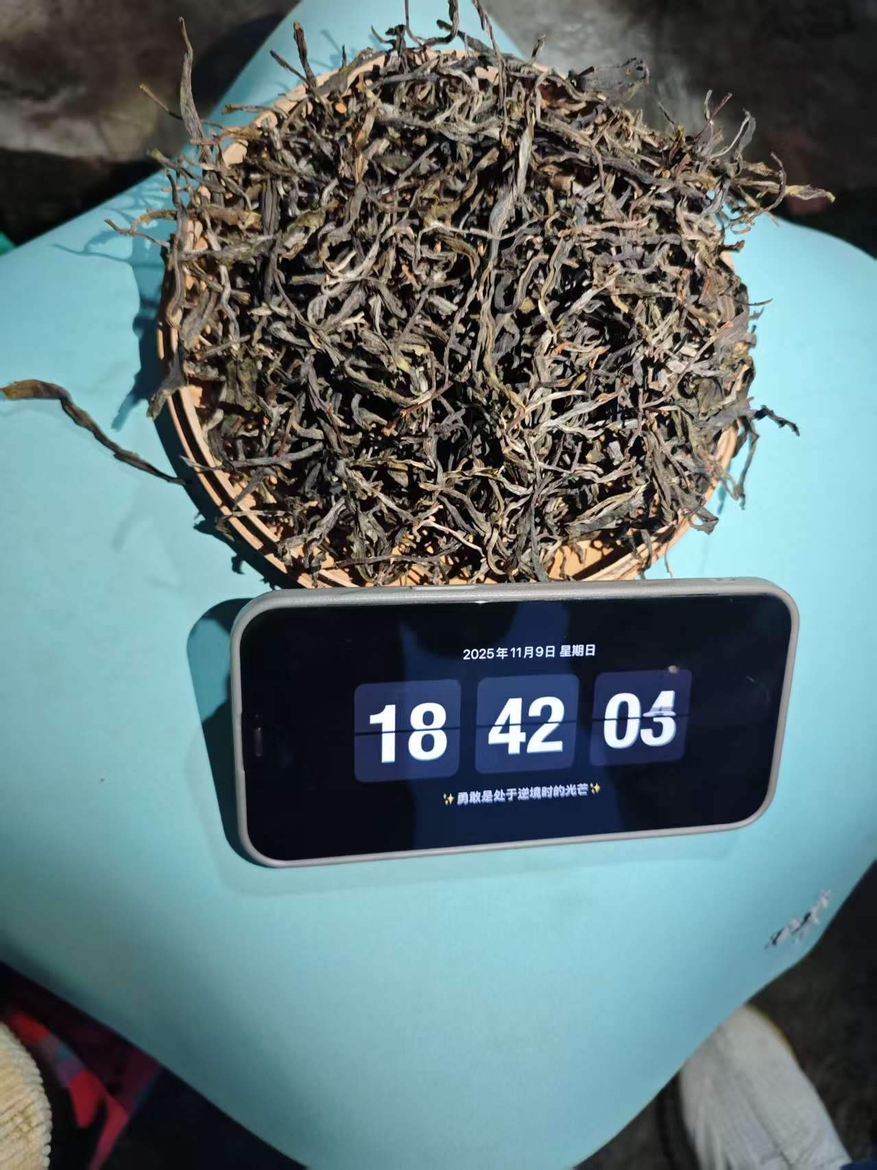 M1 2025年蛮砖石老虎古树春茶  散茶 普洱茶 古树茶  25/11/9