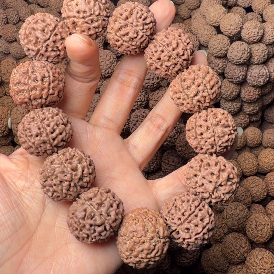 手串金刚菩提8瓣卡25尺，11号，