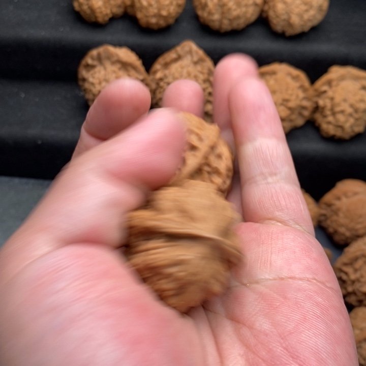 文玩核桃把件赢**扬野狼