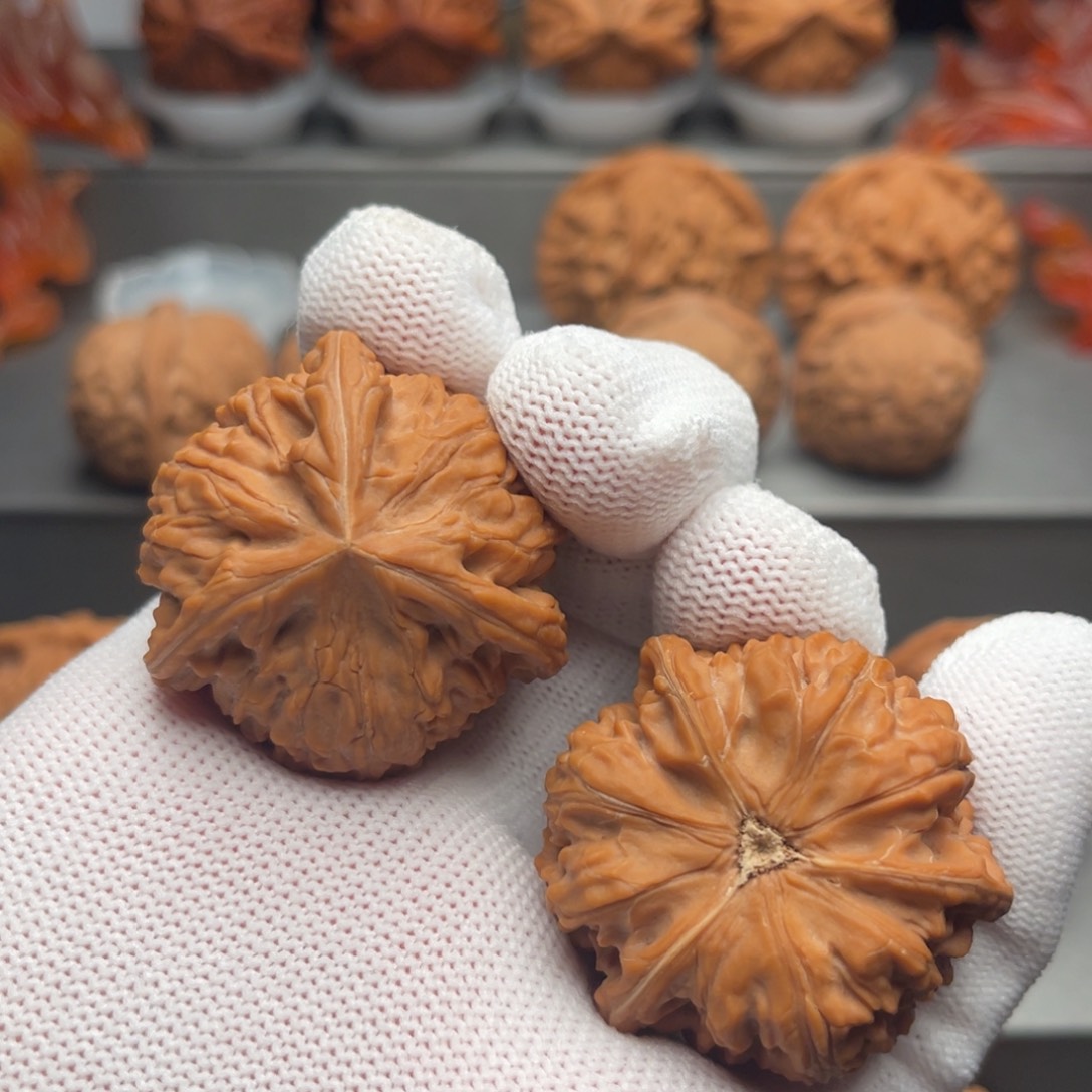 文玩核桃把件39*38御龙