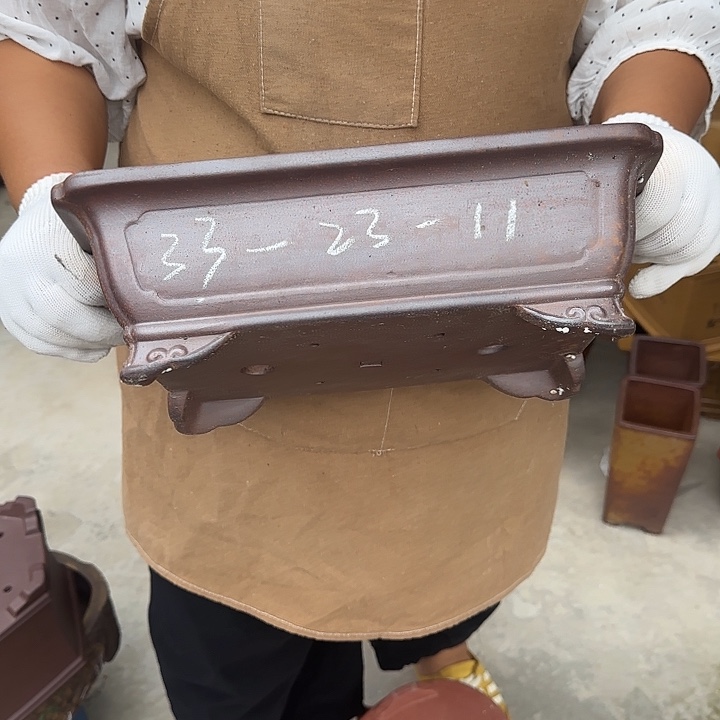 我是老大小鱼宝我