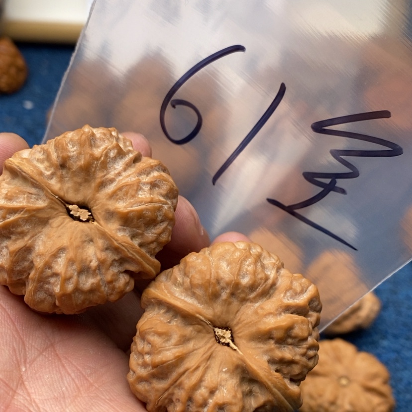 【闪购商品】文玩核桃把件待***时7535.335.5377