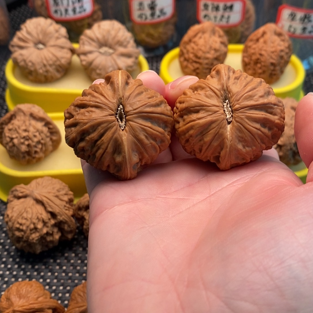 橄榄核手串/手链阿*铁锤