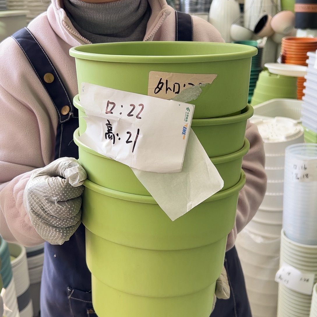 多孔3#果绿色5个无托