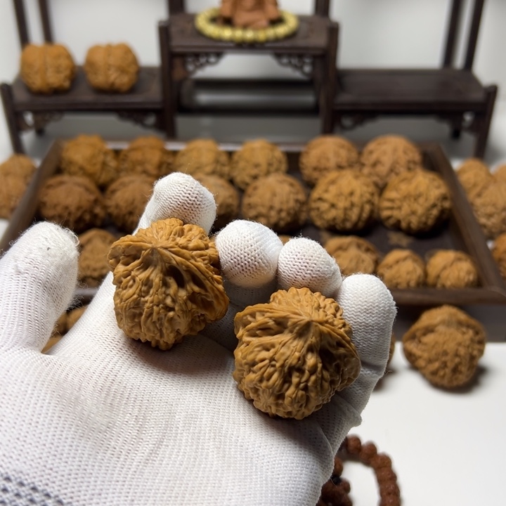 核桃全品火炎马蹄