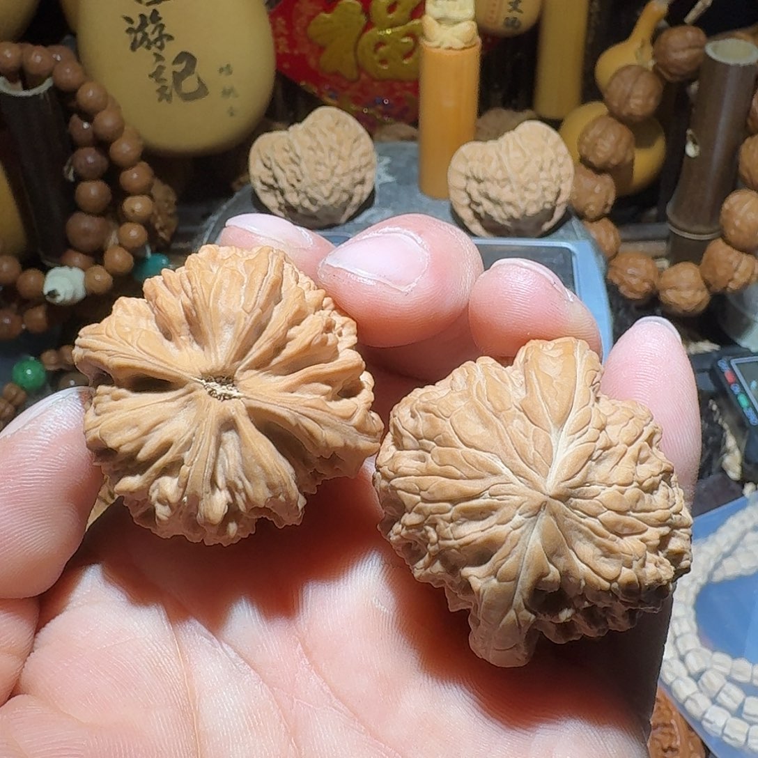 核桃40尺精品蓟县暴雪