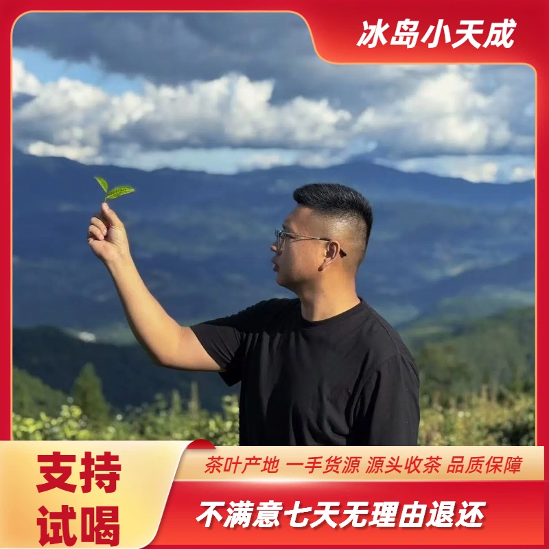 [小天成]通用链接 忙肺单株普洱生茶100g/饼 