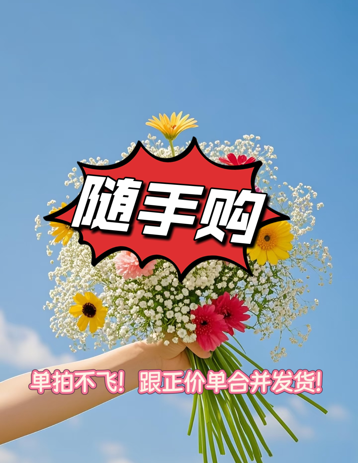 粉丝专属单拍不飞跟正价凑单一起飞货介意勿拍