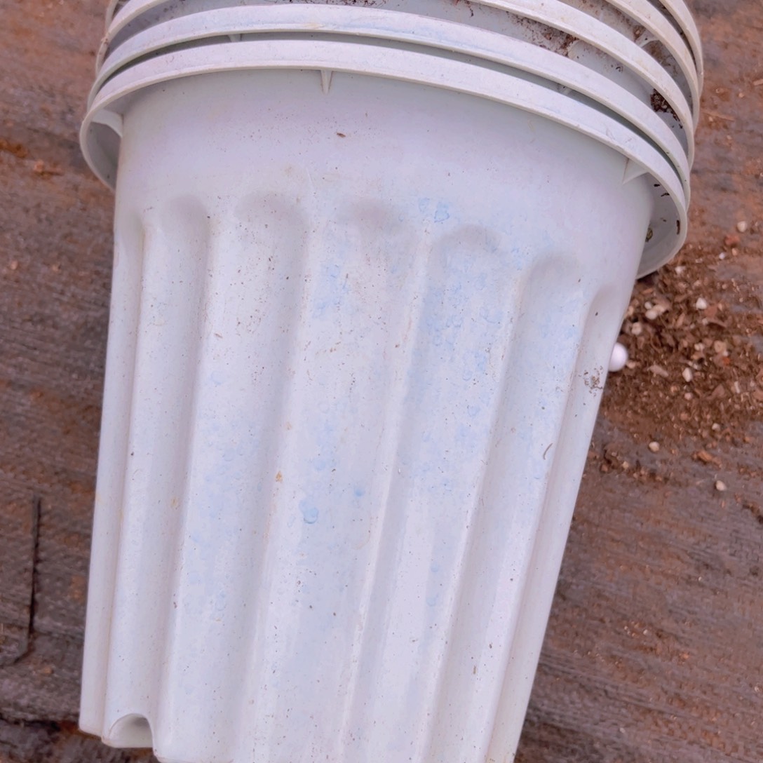 塑料加厚罗马柱5个21口径 20厘米高