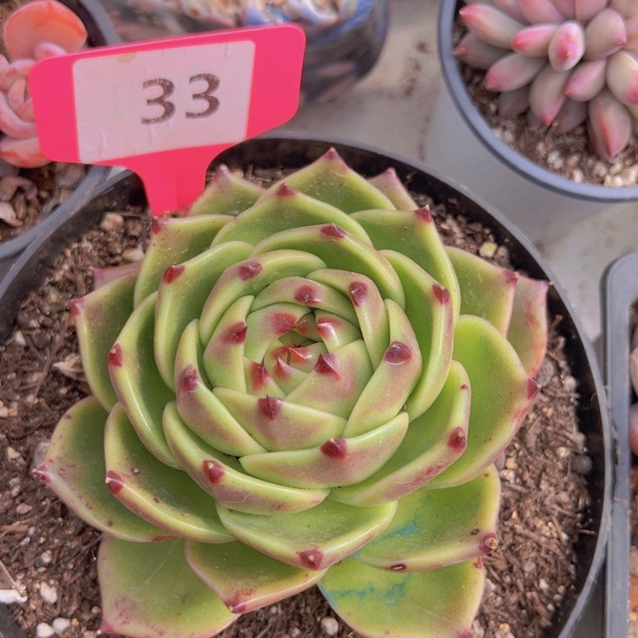 健健康康平平安安