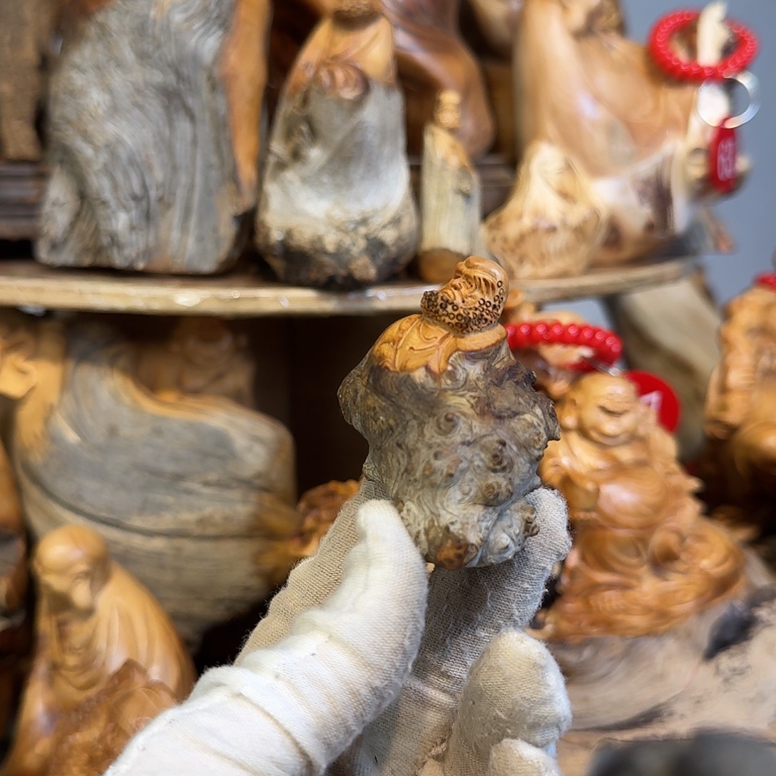 柏木（崖柏）666666666